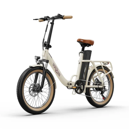 Electric bike